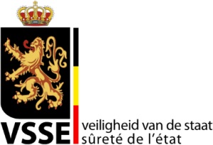vsse logo