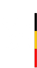 VSSE